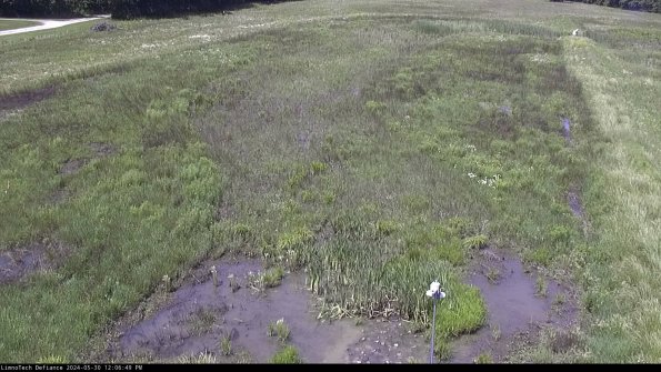 Cell 1_24-05-30_12-06-50-33