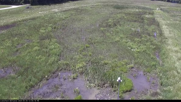 Cell 1_24-05-30_12-40-19-32