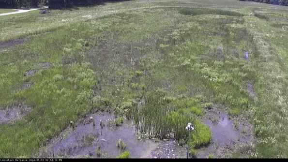 Cell 1_24-05-30_14-54-15-33