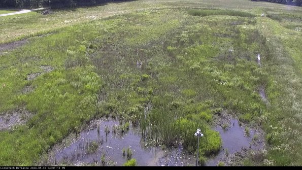 Cell 1_24-05-30_16-01-13-34