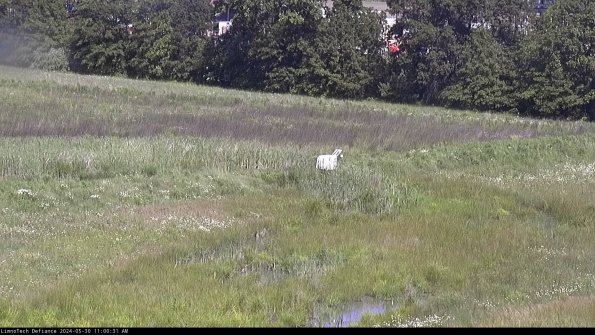 Cell 2 to 3_24-05-30_11-00-32-33