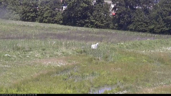 Cell 2 to 3_24-05-30_12-07-30-47