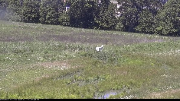 Cell 2 to 3_24-05-30_13-14-29-38