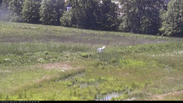 Cell 2 to 3_24-05-30_15-28-25-43