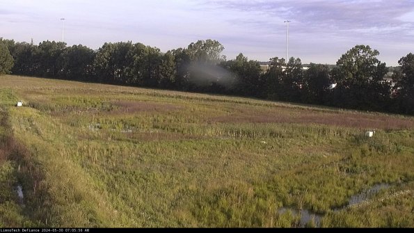 Cell 2_24-05-30_07-05-57-39