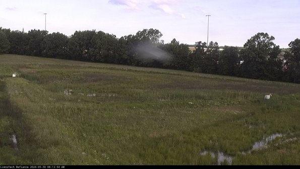 Cell 2_24-05-30_08-12-55-36