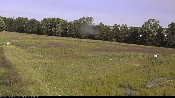 Cell 2_24-05-30_08-46-23-44