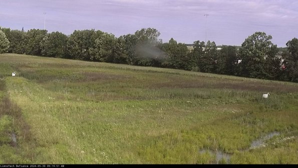 Cell 2_24-05-30_09-19-52-36