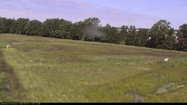 Cell 2_24-05-30_11-00-19-35