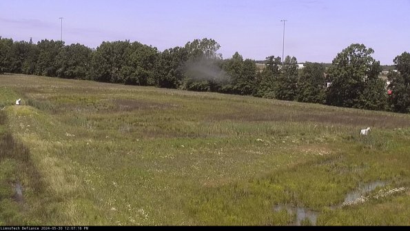 Cell 2_24-05-30_12-07-17-33