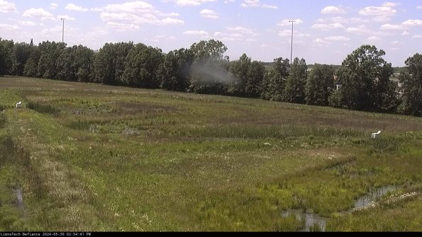 Cell 2_24-05-30_14-54-42-33