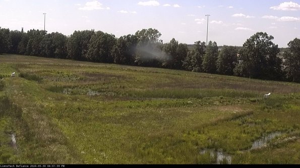 Cell 2_24-05-30_16-01-40-40