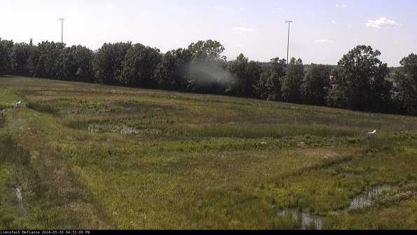 Cell 2_24-05-30_16-35-10-39