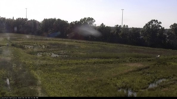 Cell 2_24-05-30_18-15-39-38