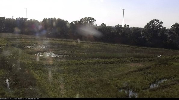 Cell 2_24-05-30_18-49-07-37