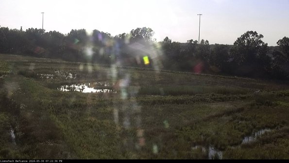 Cell 2_24-05-30_19-22-37-32