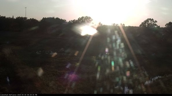 Cell 2_24-05-30_20-29-36-36