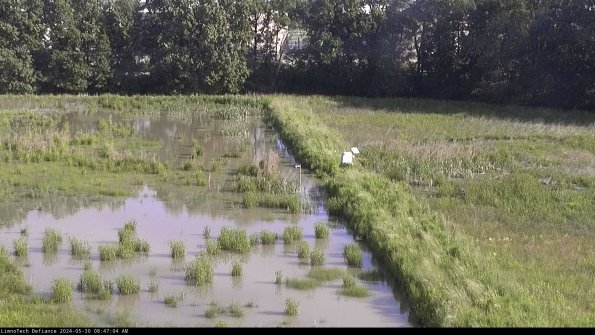 Cell 3 to 4_24-05-30_08-47-05-32