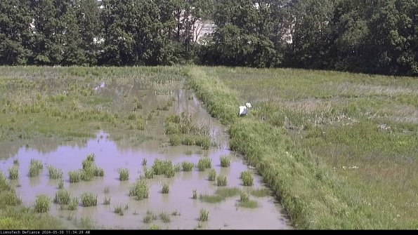 Cell 3 to 4_24-05-30_11-34-30-32