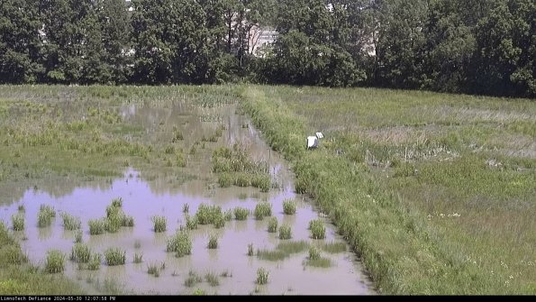 Cell 3 to 4_24-05-30_12-07-59-34