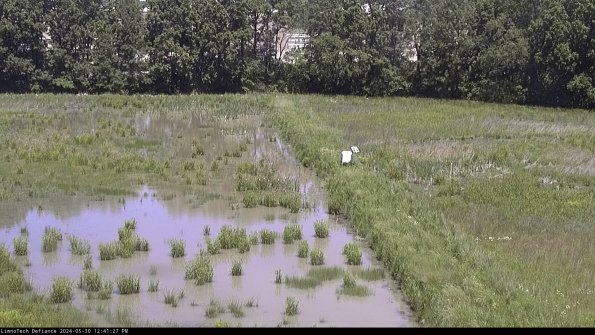 Cell 3 to 4_24-05-30_12-41-28-32