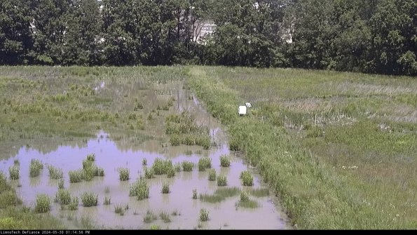 Cell 3 to 4_24-05-30_13-14-57-34