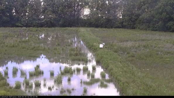 Cell 3 to 4_24-05-30_14-55-24-30