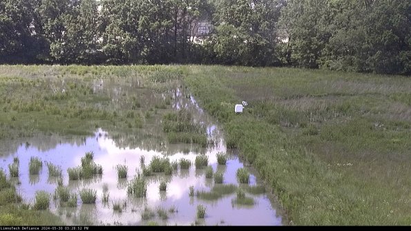 Cell 3 to 4_24-05-30_15-28-53-32