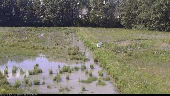 Cell 3 to 4_24-05-30_16-35-52-33