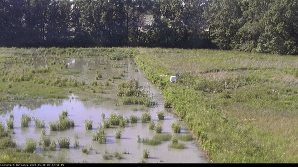 Cell 3 to 4_24-05-30_17-42-51-34