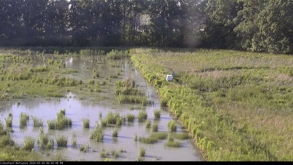 Cell 3 to 4_24-05-30_18-49-49-35