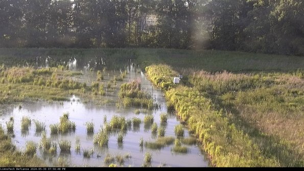 Cell 3 to 4_24-05-30_19-56-49-36