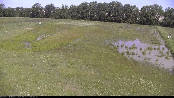 Cell 3_24-05-30_11-34-16-34