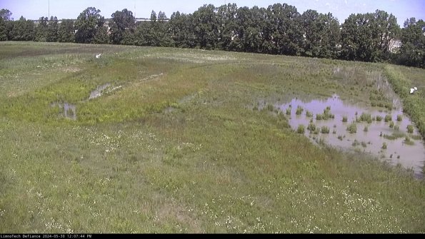 Cell 3_24-05-30_12-07-45-32