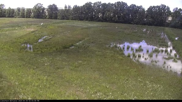 Cell 3_24-05-30_14-55-10-32