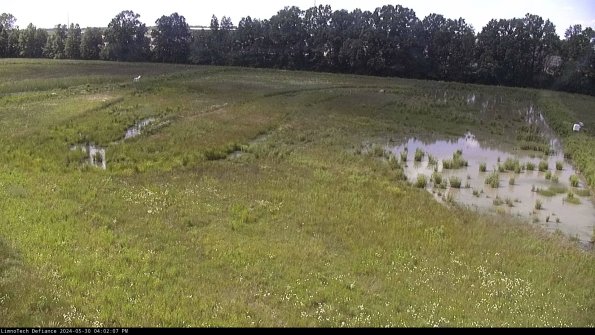 Cell 3_24-05-30_16-02-08-33