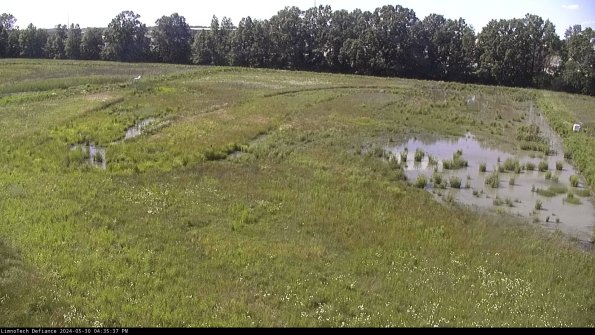 Cell 3_24-05-30_16-35-38-32