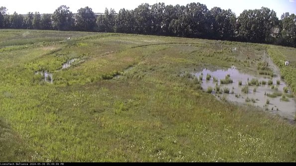 Cell 3_24-05-30_17-09-07-34