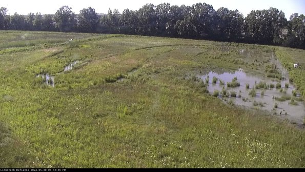 Cell 3_24-05-30_17-42-37-33