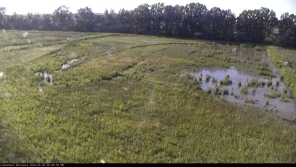 Cell 3_24-05-30_18-49-35-33