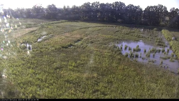 Cell 3_24-05-30_19-23-05-32