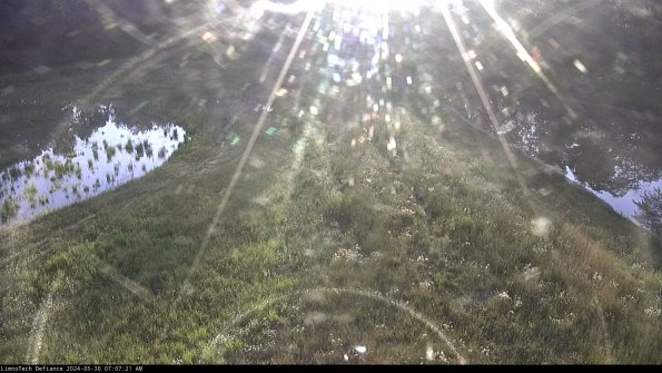 Cell 4 to Basin_24-05-30_07-07-22-31