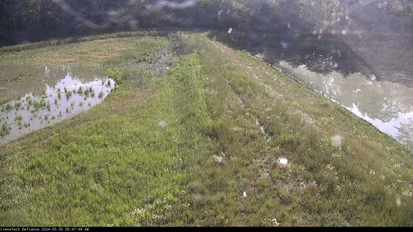 Cell 4 to Basin_24-05-30_08-47-49-36