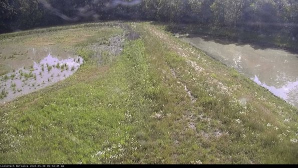 Cell 4 to Basin_24-05-30_09-54-46-33