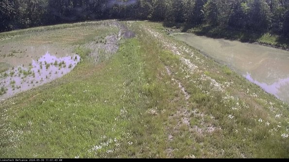 Cell 4 to Basin_24-05-30_11-01-44-34