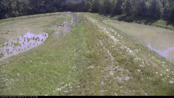 Cell 4 to Basin_24-05-30_11-35-14-33