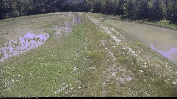 Cell 4 to Basin_24-05-30_12-08-43-35