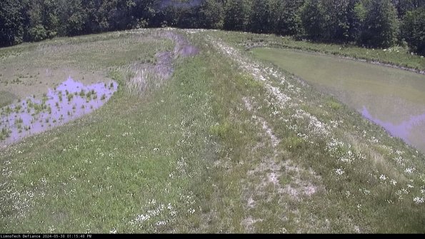 Cell 4 to Basin_24-05-30_13-15-41-32