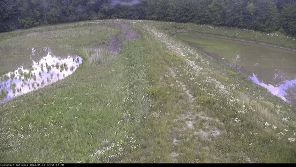 Cell 4 to Basin_24-05-30_14-56-08-35