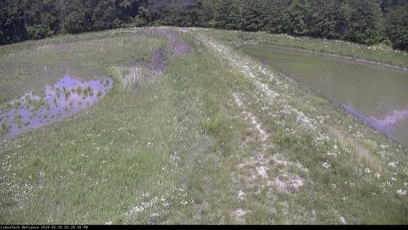 Cell 4 to Basin_24-05-30_15-29-37-33